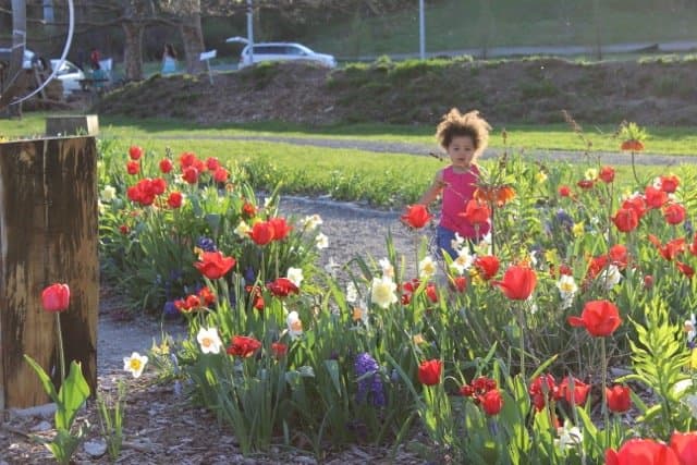 exploring the Bulb Labyrinth