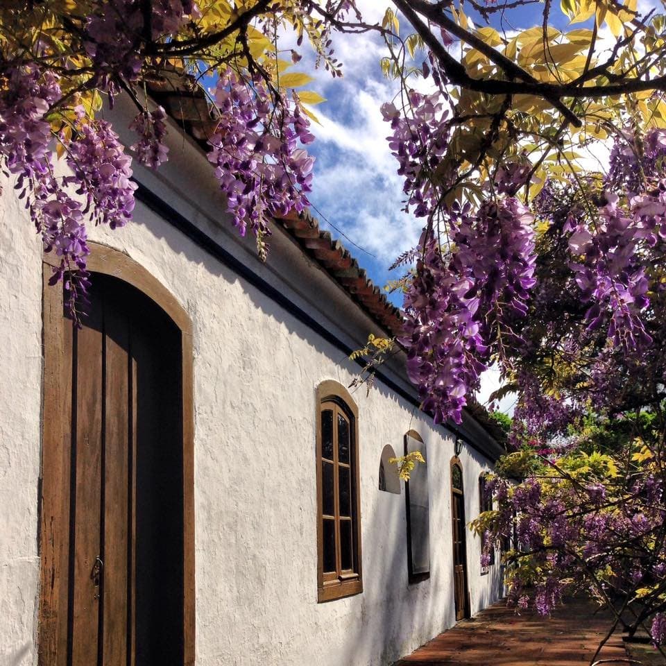 Charqueada São João 