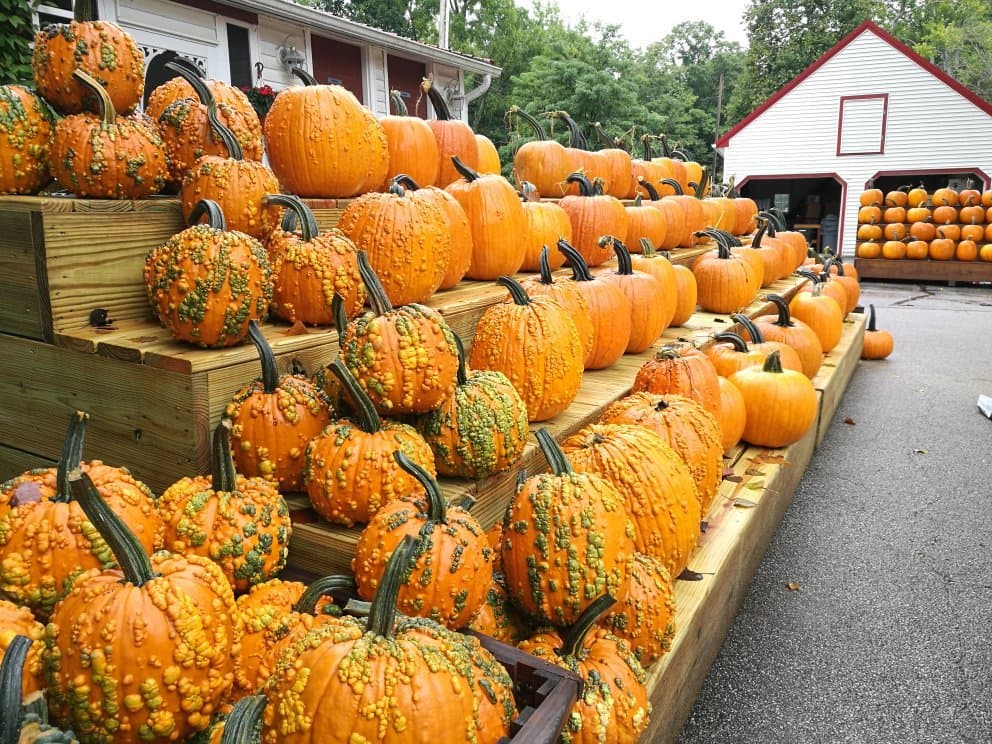 Szalay's Farm & Market