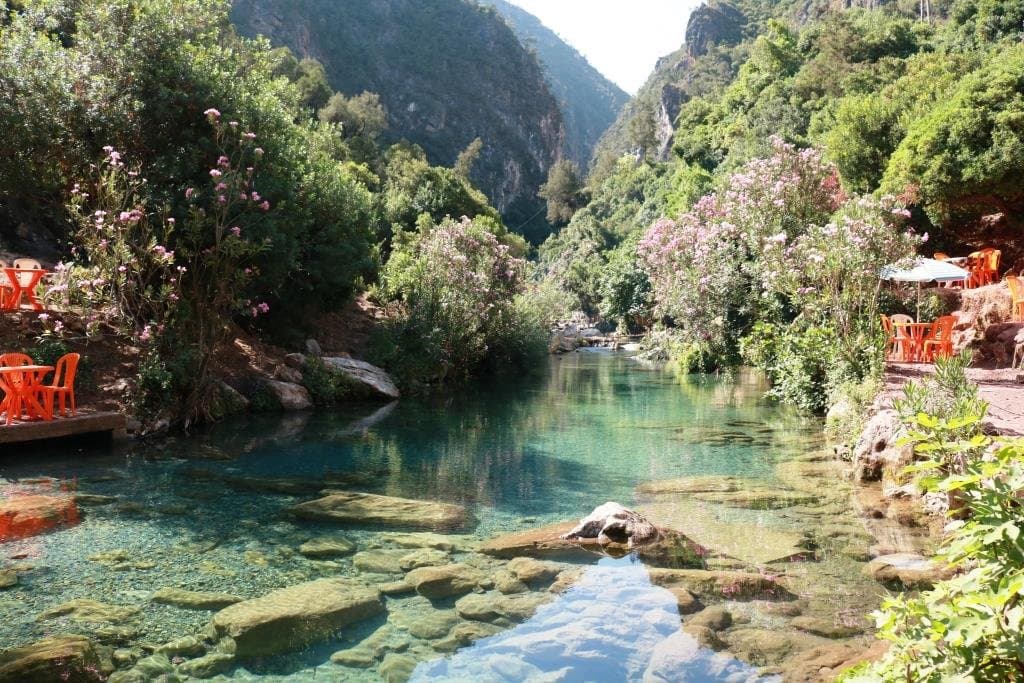 Torrente
