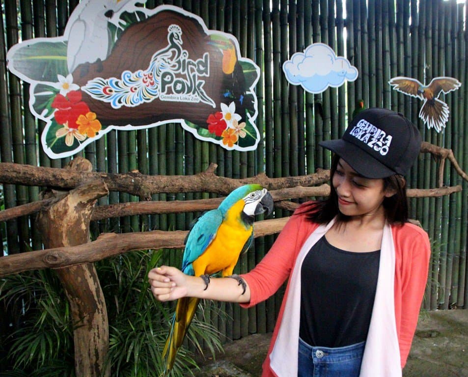 Jambu Zoo Nagrota