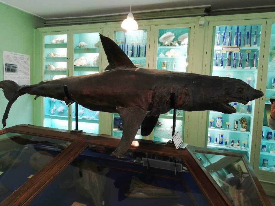 Vous avez des questions, vous trouverez les réponses ici !