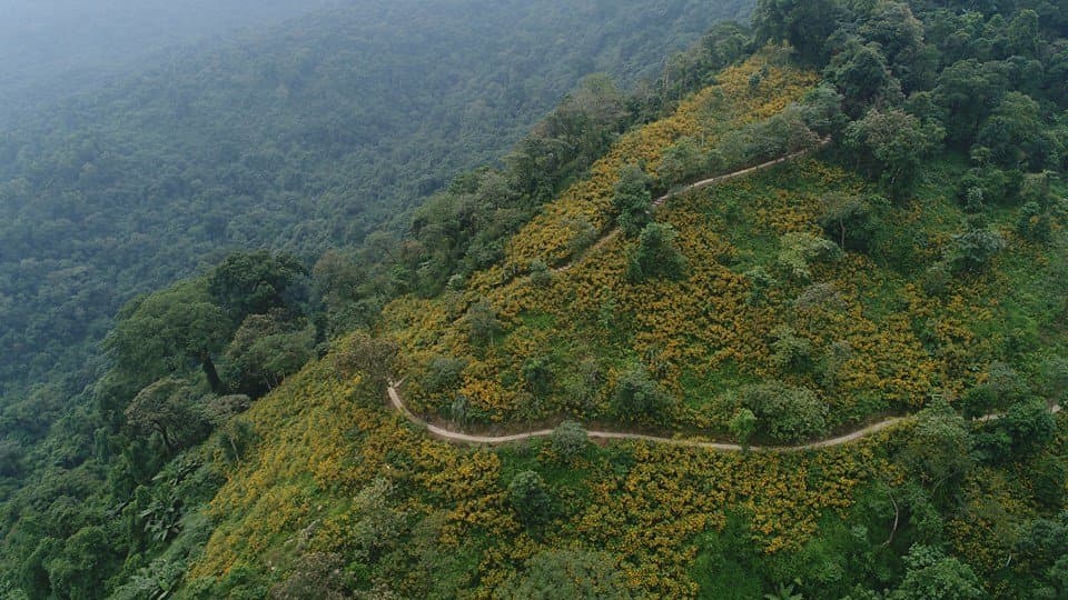Winding way to Ba Vi National park
