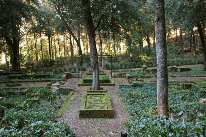 Bosco della Ragnaia