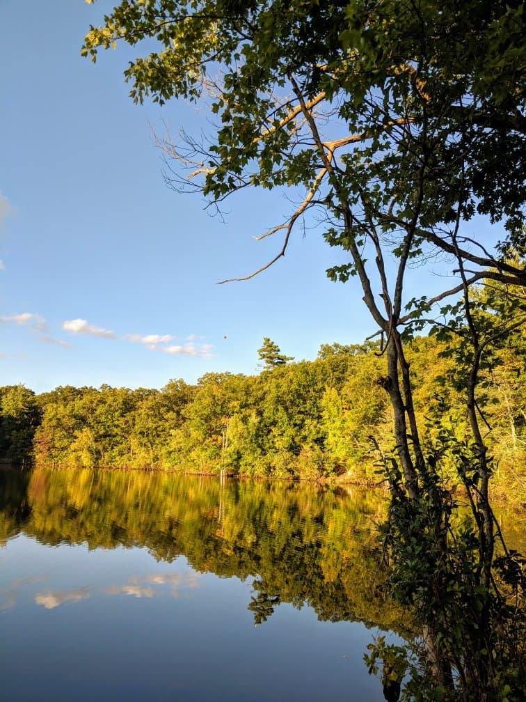 Really enjoying our walkies in the fells