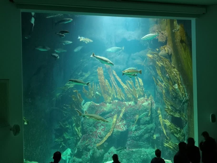 Multimar Wattforum Tönning