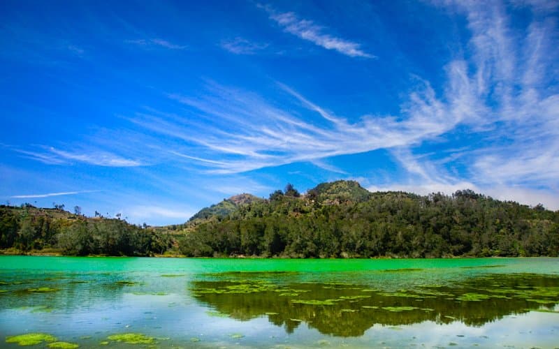 Telaga Warna Nature Reserve