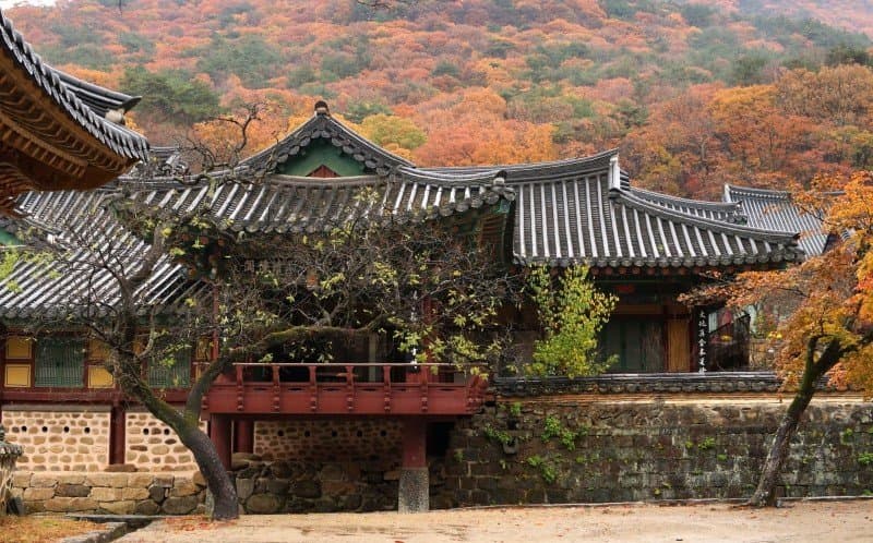 송광사