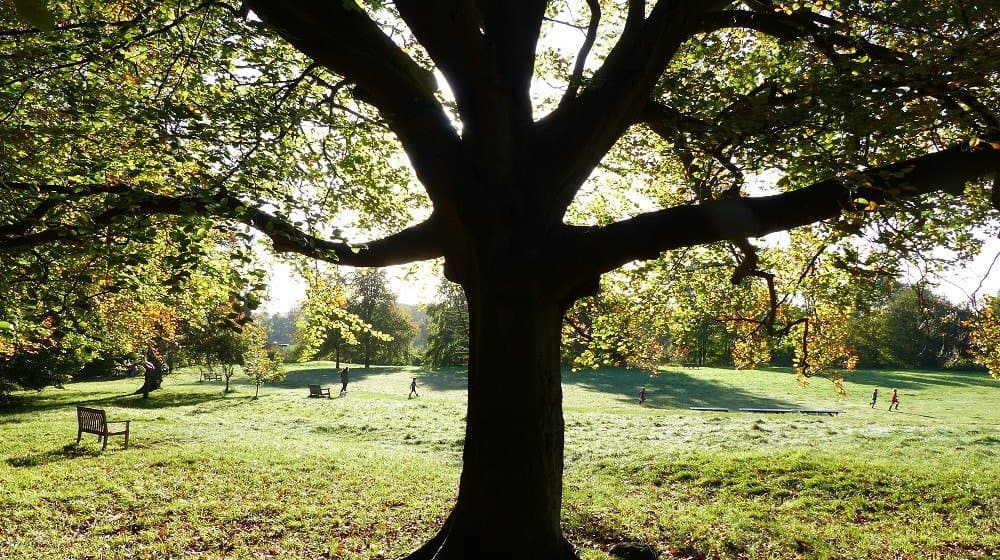 Wandlebury Country Park Games Field