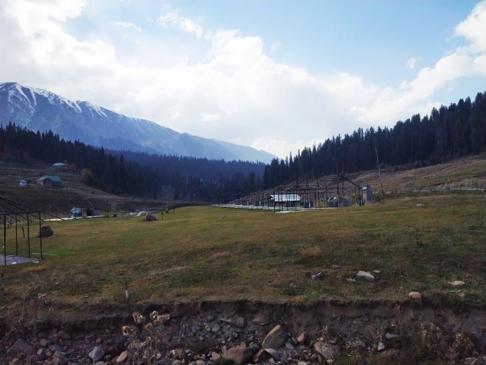 Strawberry Valley a best place in Gulmarg to camp.  Trip more