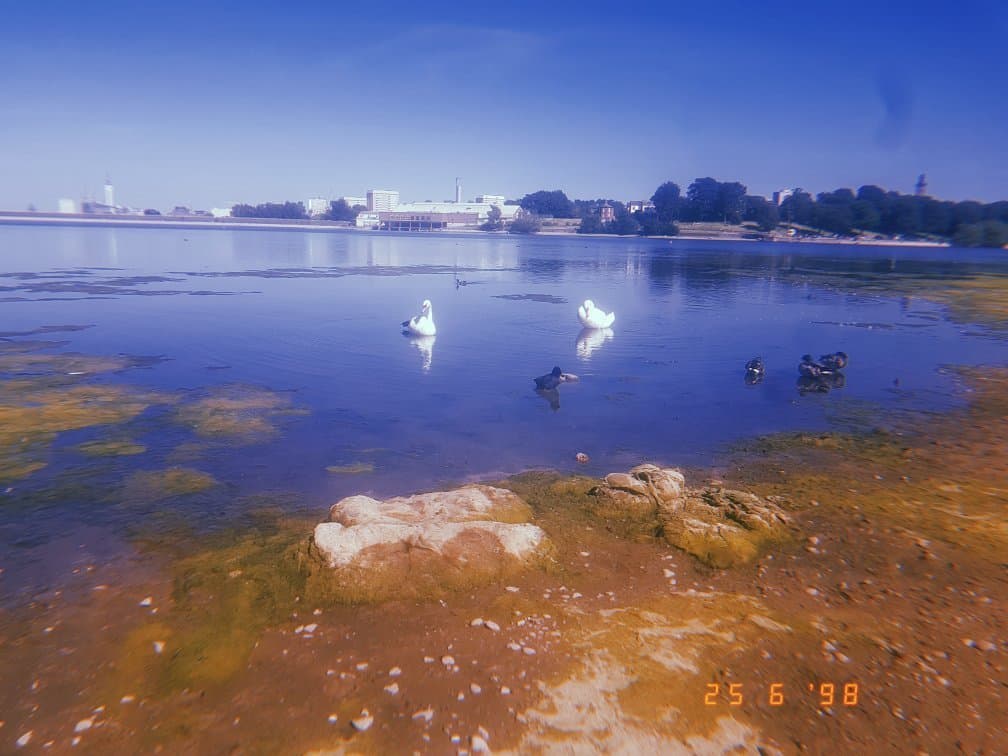 Natural reservoir in Birmingham!