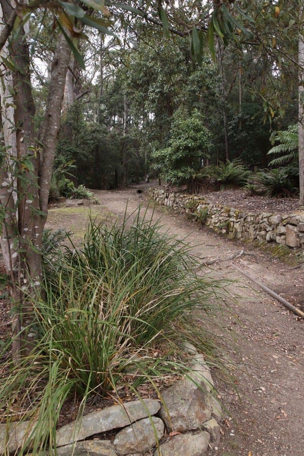 The path