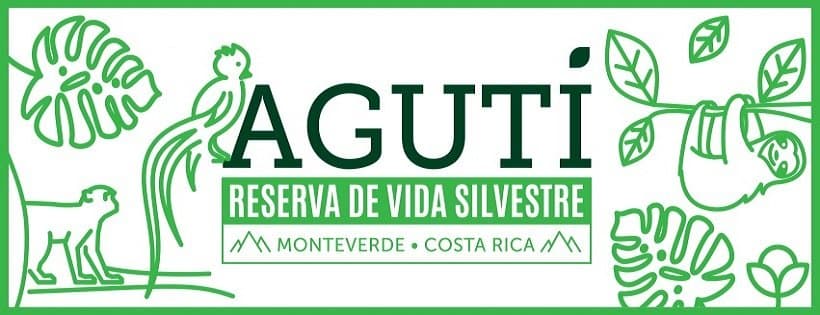 Visit our webpage www.agutimonteverde.com or our Facebook page www.facebook.com/agutimonteverde