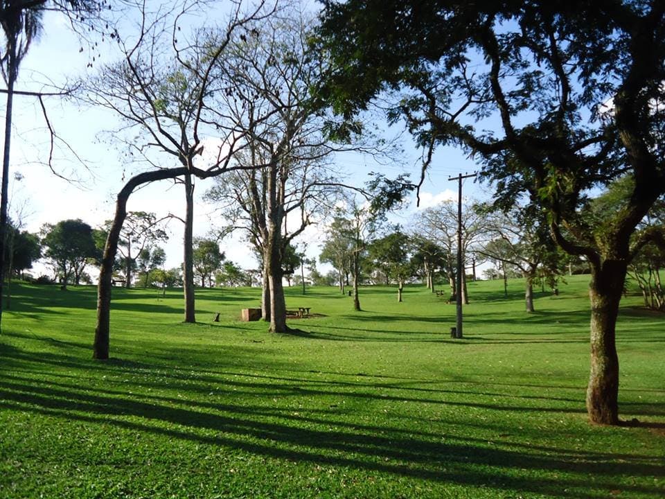 Área verde do parque para piquenique com a família e os amigos.