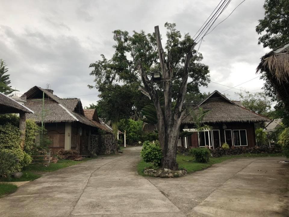 Empty Huts