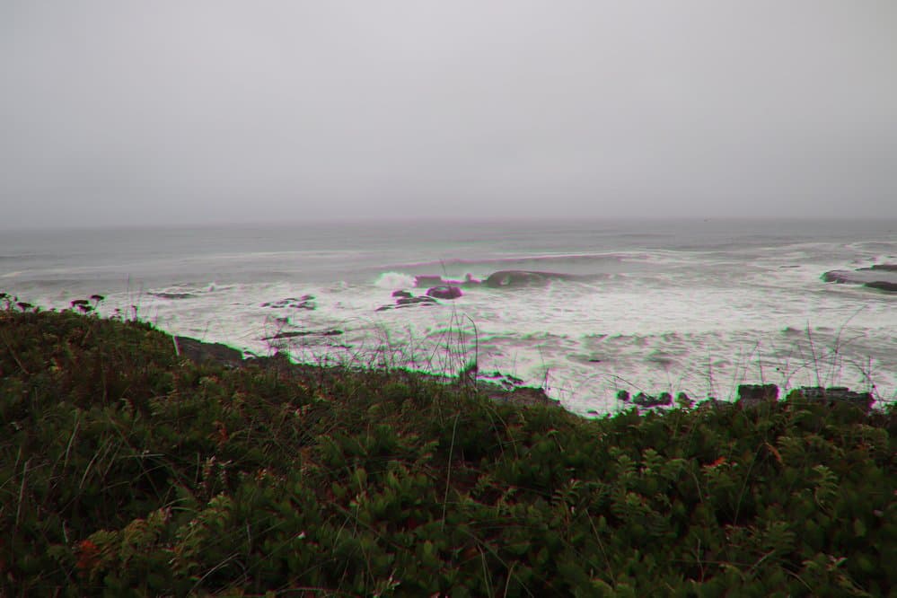 Lively ocean