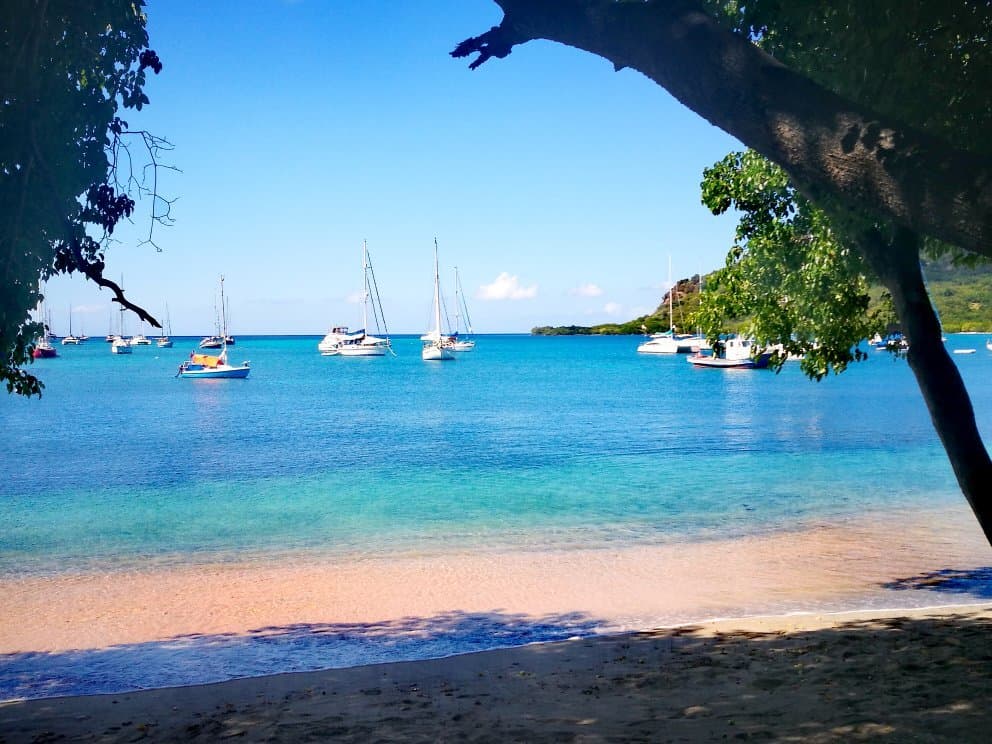 Tyrell Bay Carriacou