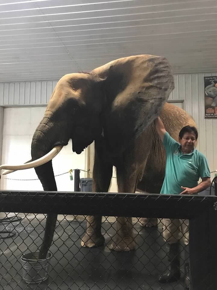 Wilstem Wildlife Park