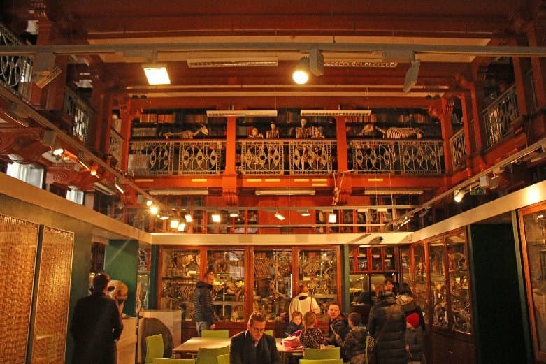 Grant Museum of Zoology