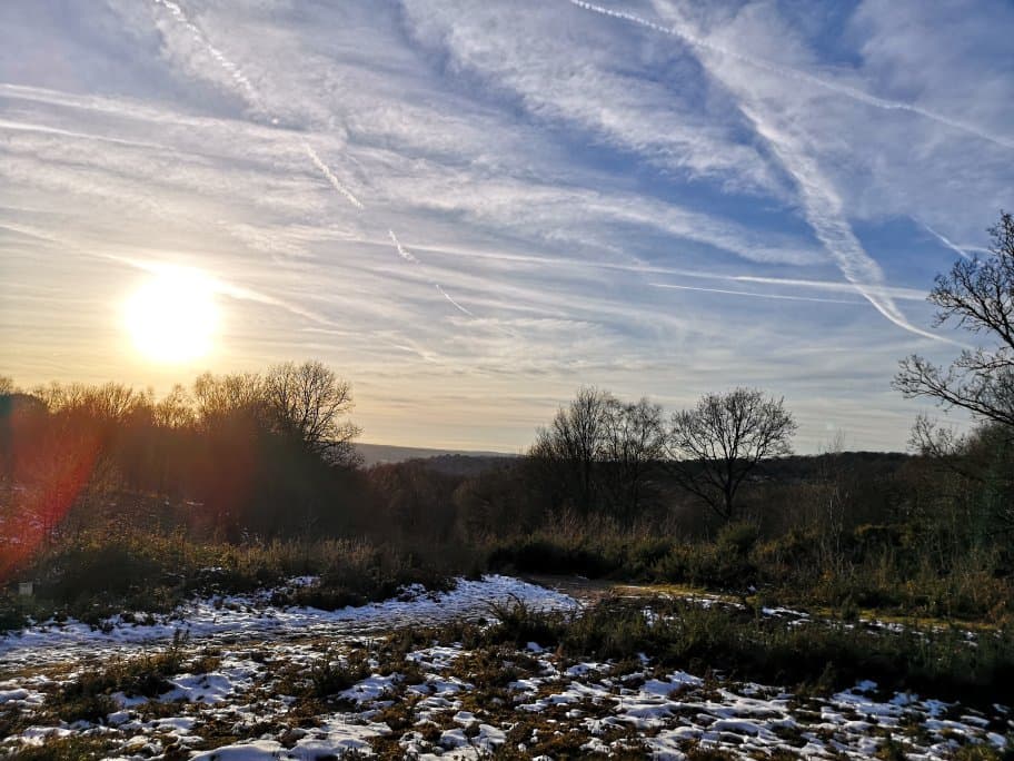 Headley Heath