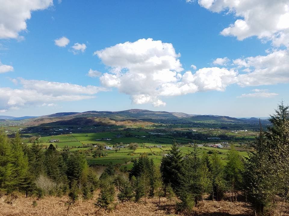 Views from the mountain drive