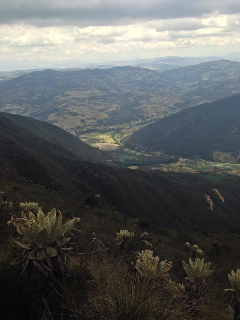 Iguaque Flora and Fauna Sanctuary Colombia