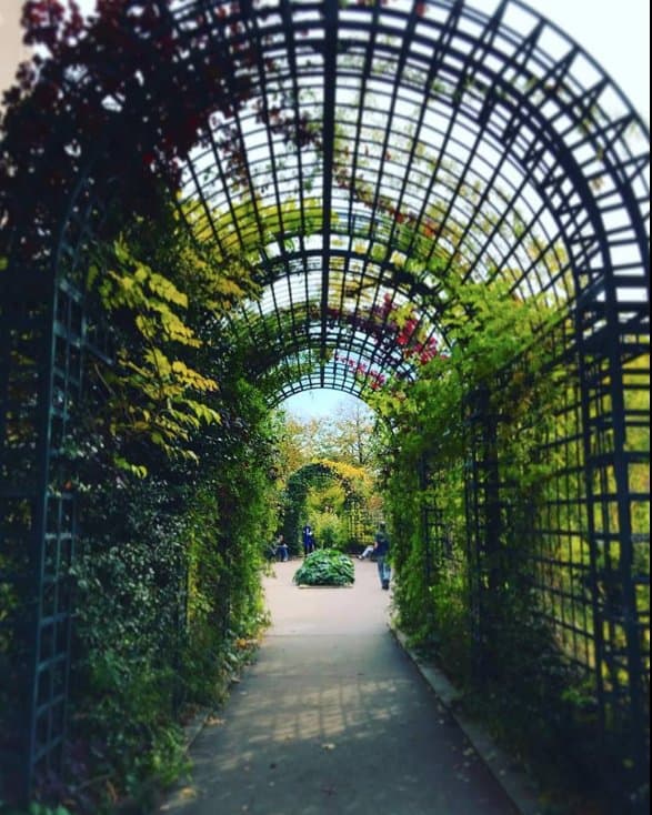 Explore the Coulée Verte René-Dumont (Promenade Plantée)