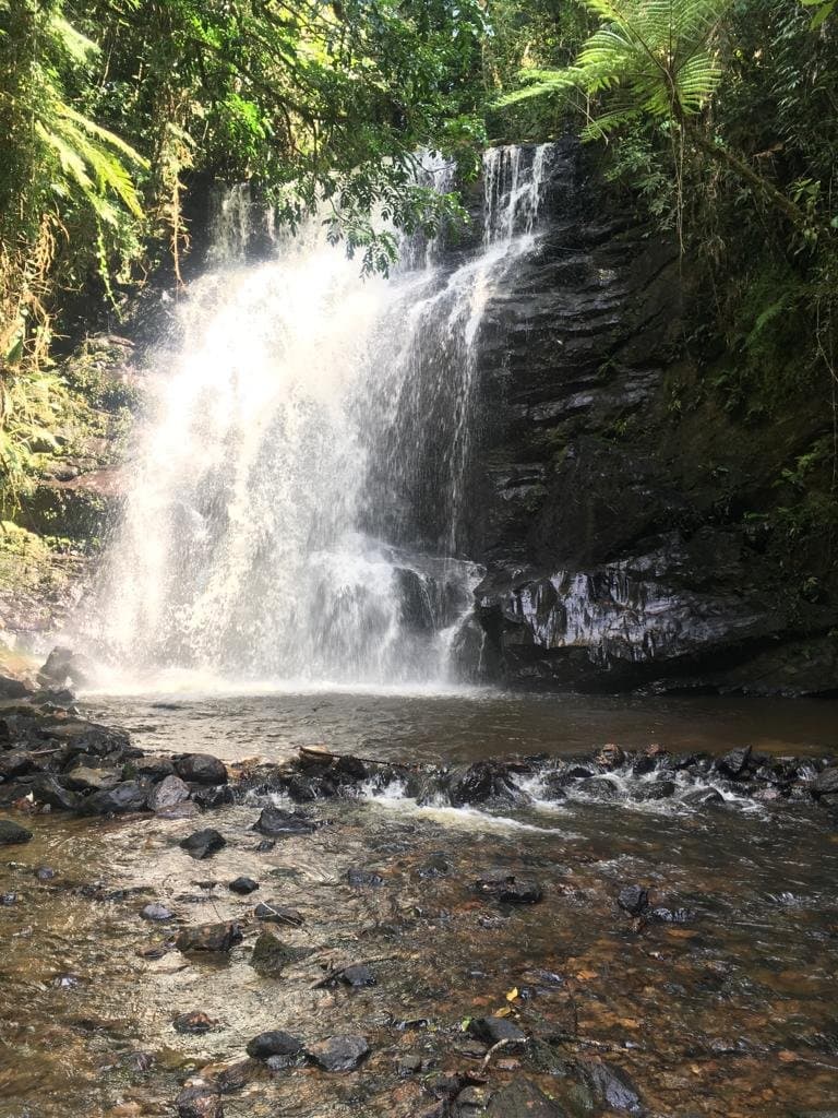 Cachoeira do Rio Bonito