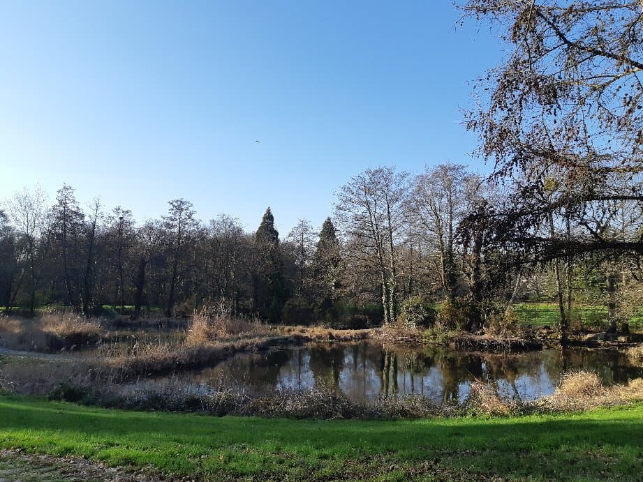 Parc de Bréquigny