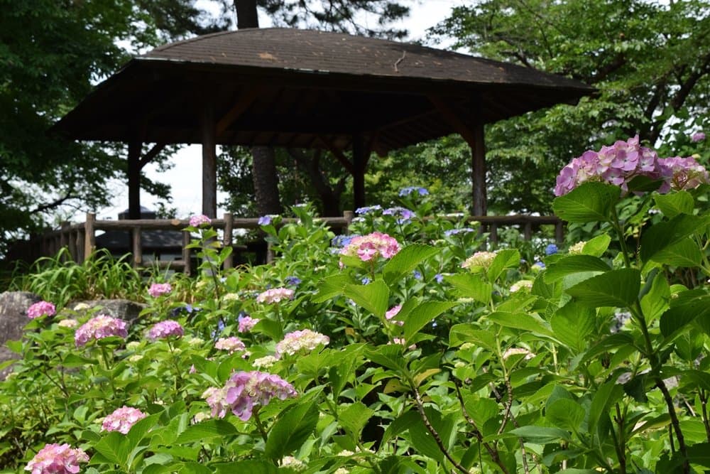 Tamagawadai Park Tokyo