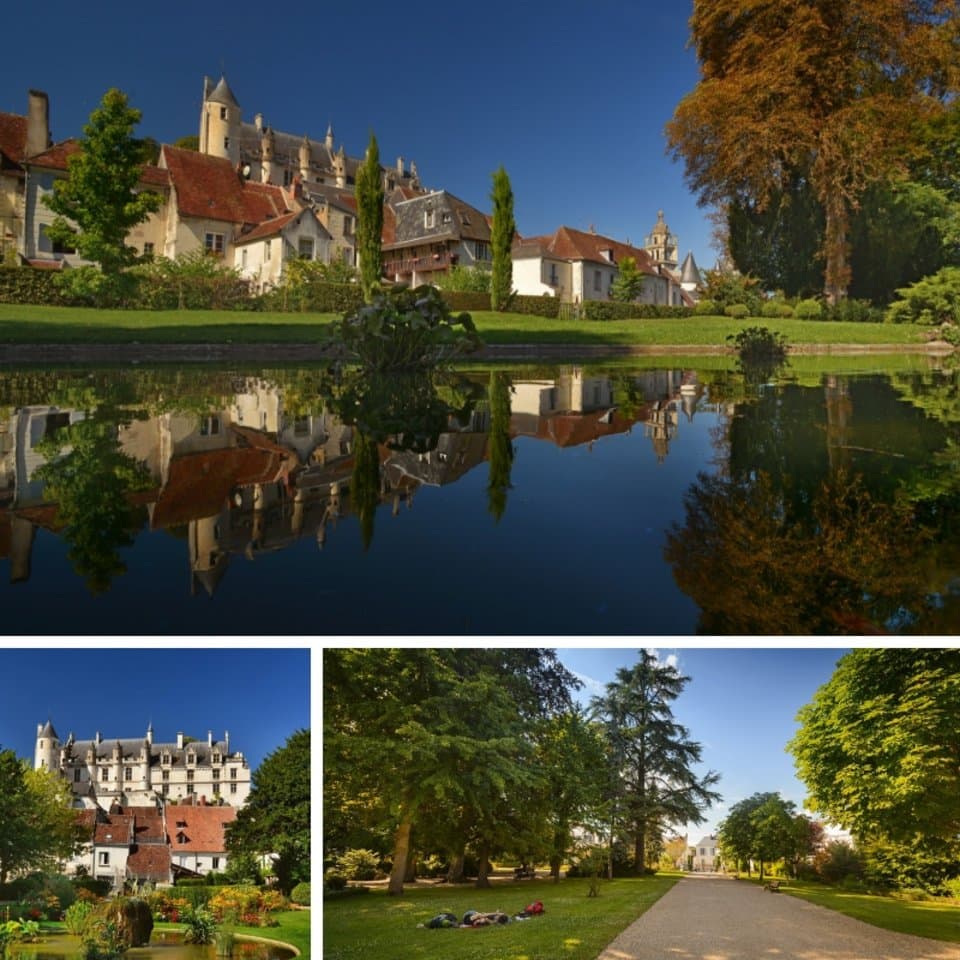 Logis Royal vu depuis le jardin publis ( l'été)