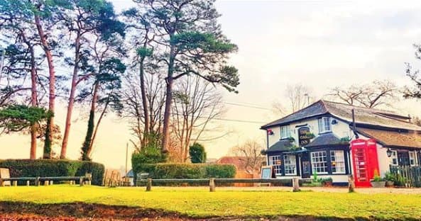 Front approach with trees.