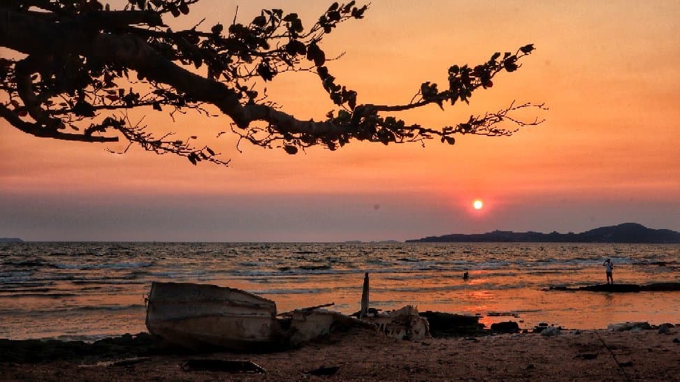 Dongtan Beach