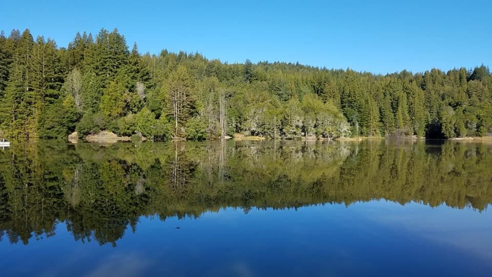 Lakeview