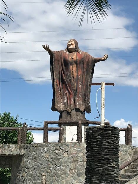 la negra inmortal