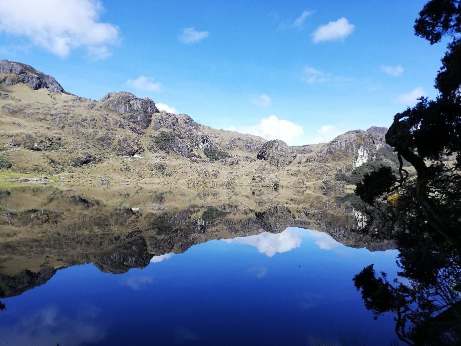 Llaviucu Lagoon Cajas