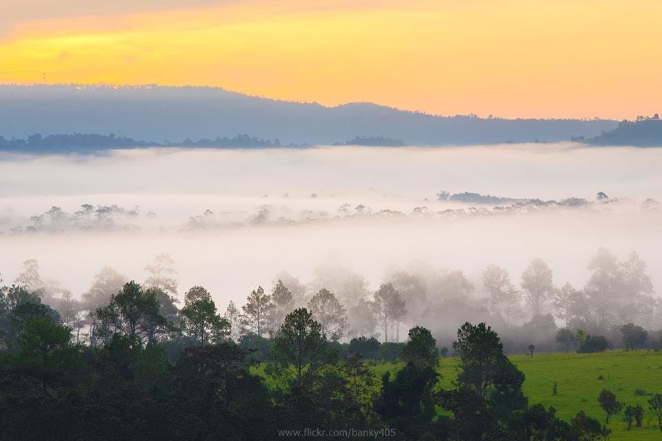มีพื้นที่ 789,000 ไร่ ตั้งอยู่ในท้องที่จังหวัดพิษณุโลก และเพชรบูรณ์ ถือเป็นแหล่งผืนป่าสะวันนาแห่งเดียวของภาคเหนือที่ยังคงความอุดมสมบูรณ์ พร้อมด้วยความแตกต่างแห่งพืชพรรณที่ไม่พบเห็นบ่อยนัก ตั้งอยู่ห่างจากที่ทำการอุทยานฯ หนองแม่นา ประมาณ 25 กิโลเมตร เป็นทุ่งหญ้าแบบสะวันนา มีพื้นที่เป็นที่โล่งกว้างใหญ่ เนื้อที่ประมาณ 16 ตรกม. ตามเส้นทางจะตัดผ่านป่าเบญจพรรณจะพบสัตว์ป่าออกมาหากินตามข้างทาง และมีพันธุ์ไม้ดอกมากมาย