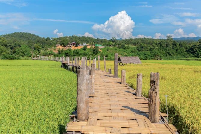 สะพานซูตองเป้แห่งนี้ถือเป็นแลนด์มาร์กที่ใครมาเยือนแม่ฮ่องสอนมักจะแวะมาเที่ยว ซึ่งจริงๆ แล้วที่นี่สามารถมาเที่ยวได้ทุกฤดู แต่สำหรับหน้าฝนนั้นจะพิเศษกว่าฤดูอื่น เพราะทุ่งข้าวในนารอบๆ สะพานจะเปลี่ยนเป็นสีเขียวสวยงาม  ในยามเช้าที่พระอาทิตย์ขึ้น แสงสีทองอ่อนๆ จะค่อยๆ สาดส่องลงไปยังทุ่งนาสีเขียวเป็นภาพที่น่าประทับใจสำหรับผู้ที่ได้เห็น เป็นสะพานบุญที่เป็นบุญตาสำหรับผู้มาเยือน