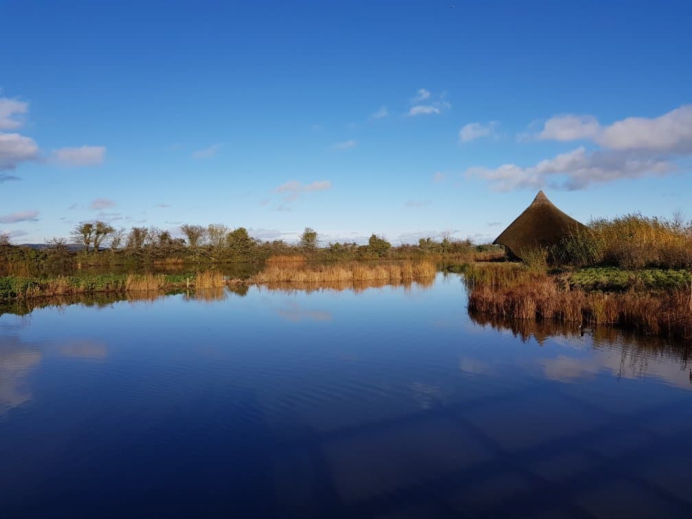 WWT Castle Espie Wetland Centre