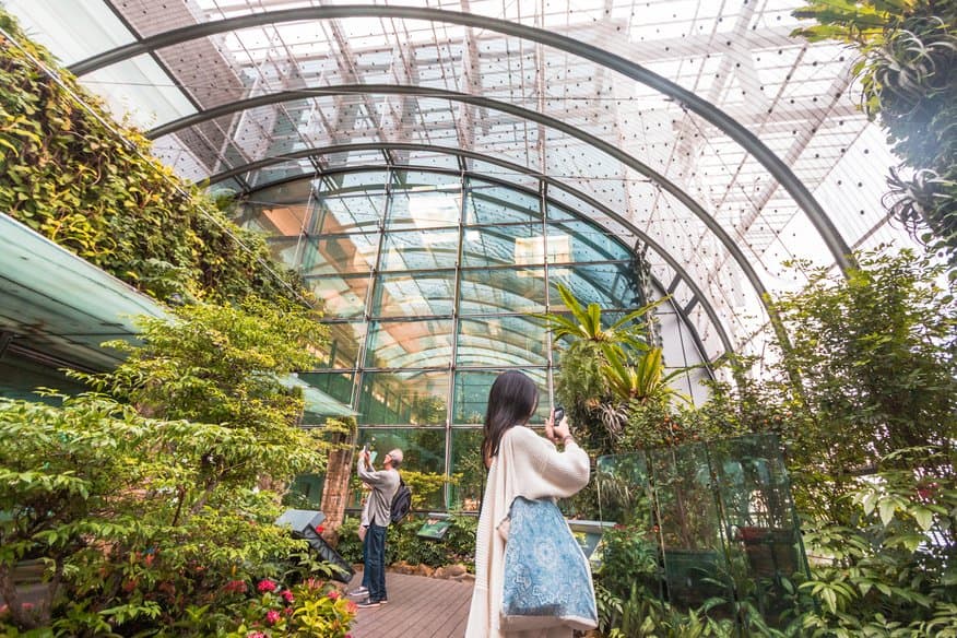 Butterfly Garden at Terminal 3