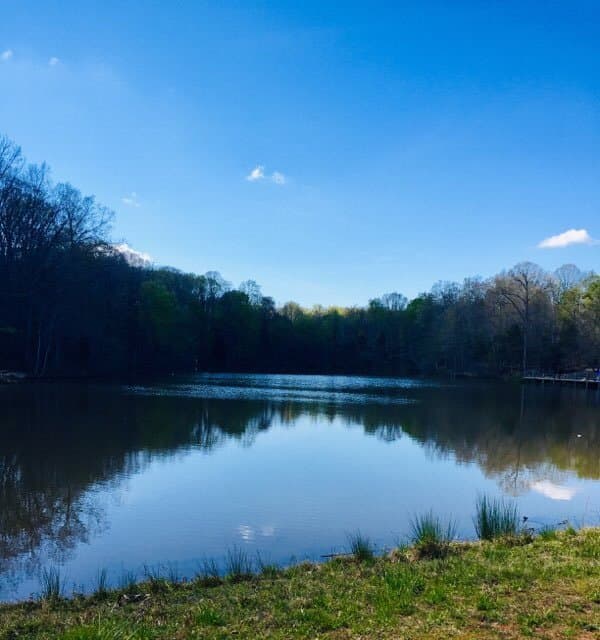 Reedy Creek Nature Center & Preserve