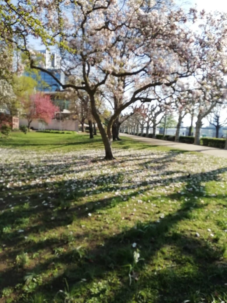 Ostpark
