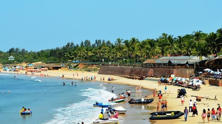 Turtle Nesting Site Morjim Beach Goa