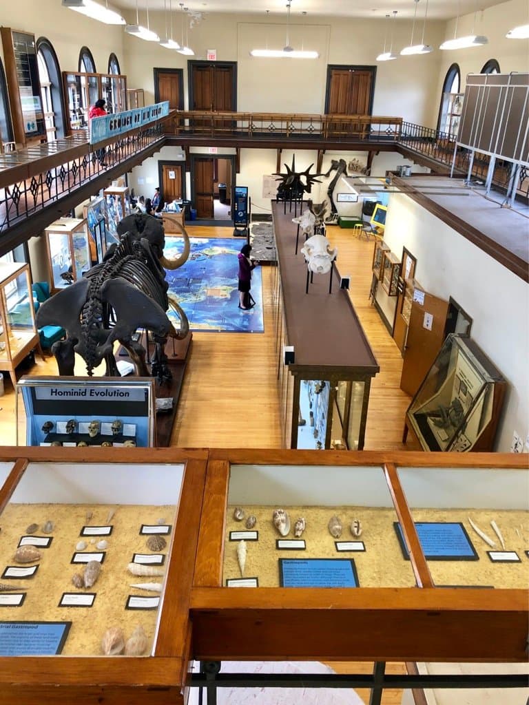 The small but mighty Rutgers Geology Museum.