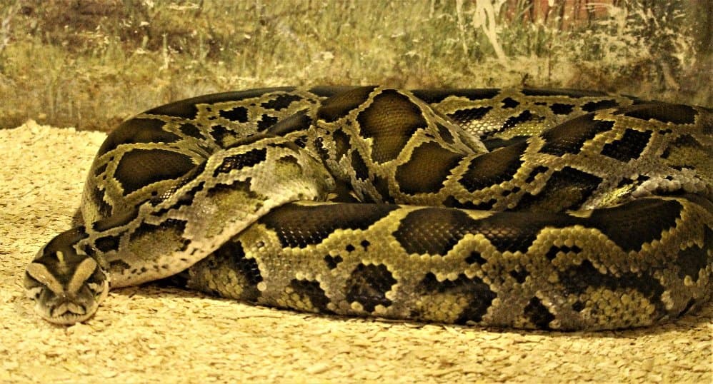 Serpentario Mendoza