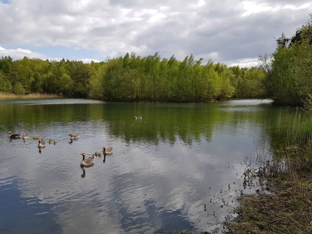 Walton Colliery Nature Park