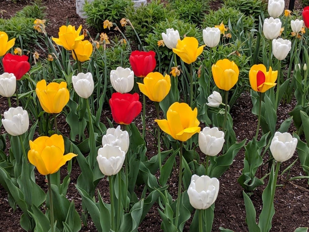 Beacon Park
