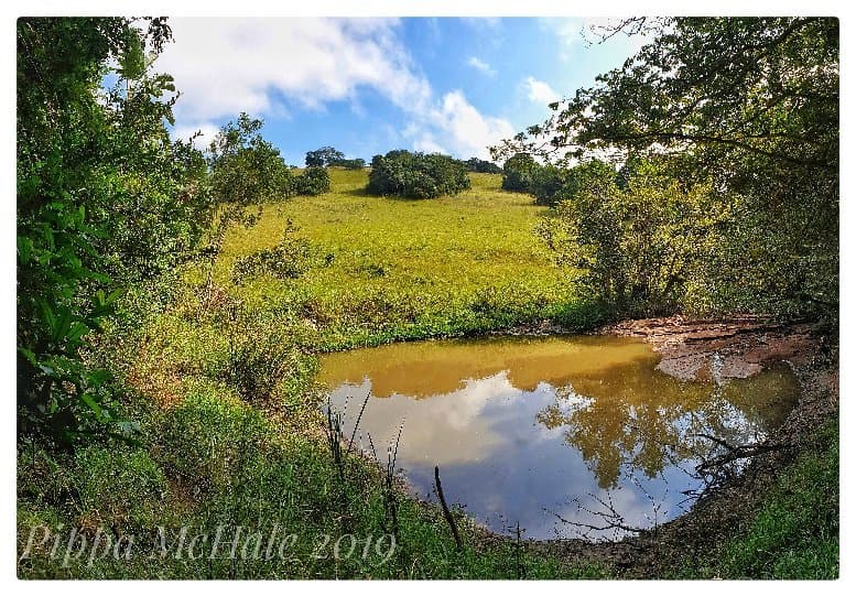Beauty in the reserve