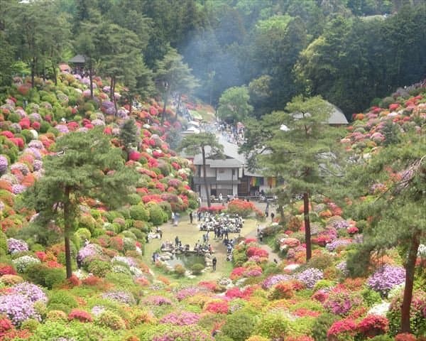 つつじ祭り