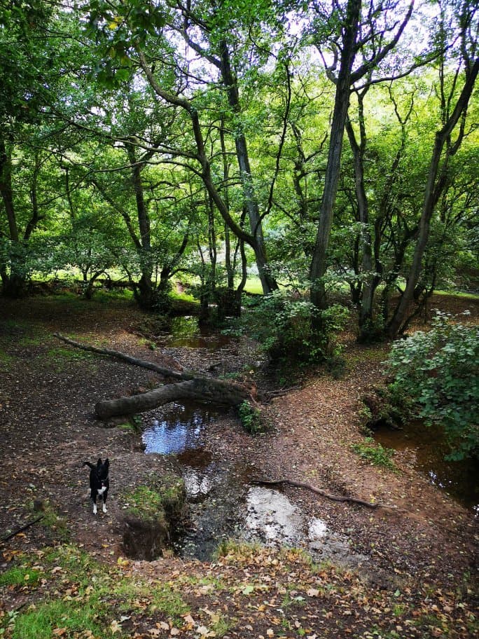 Downs Banks Barlaston